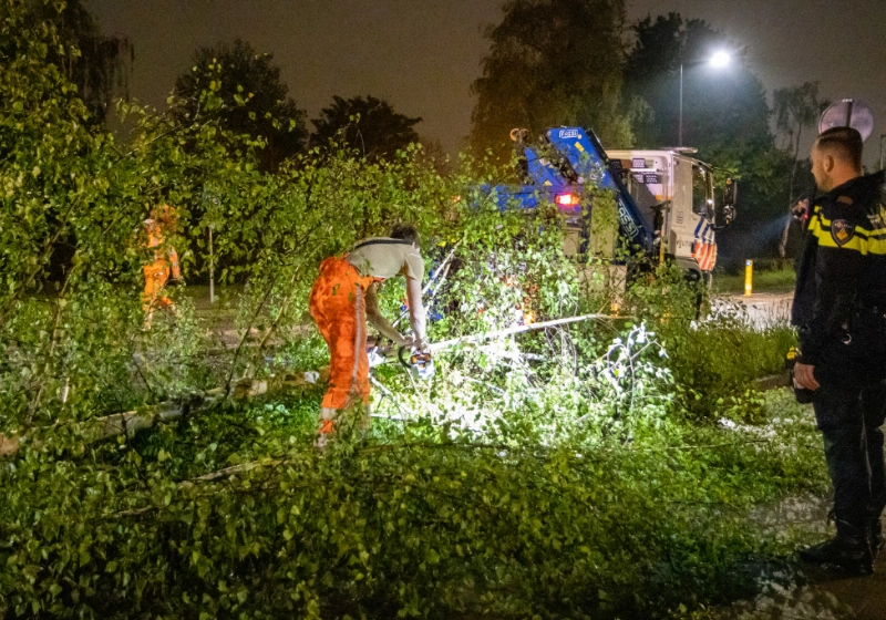 autoramtboon (4).jpg